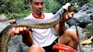 Part 1 - ISLA NG KASILI o PALOS o EEL ang dami nila