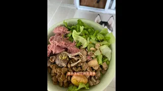 Let me record my dog-raising journey. It’s a bit long and there are a lot of things that I haven’t