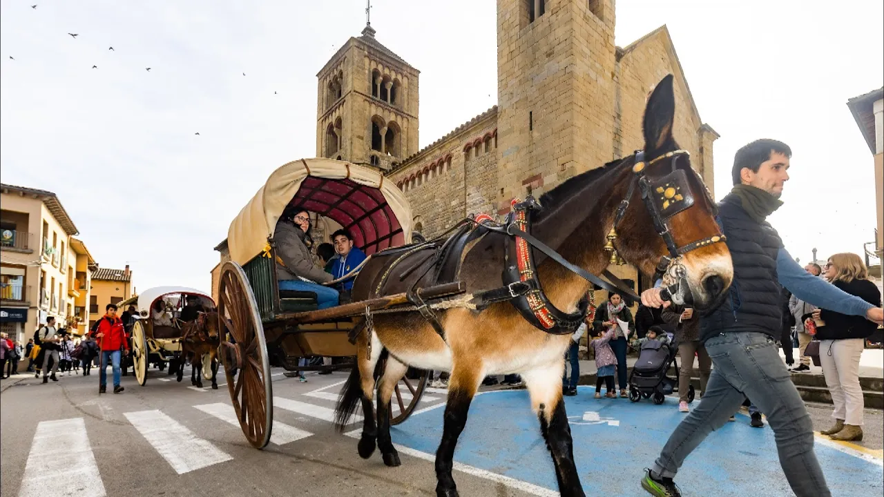 Centenars de veïns i visitants acompanyen els Tonis de Santa Eugènia