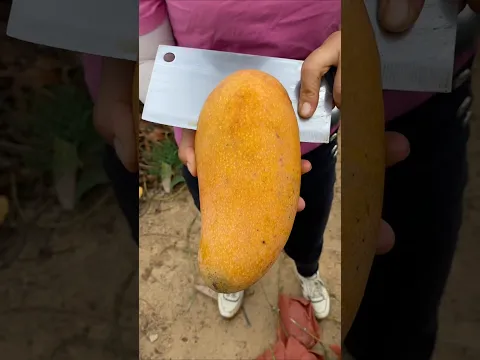 🥹 बिना गुठली का आम 🥭 #shorts #shortvideo #indianshorts  #mangorecipe #mangojuice