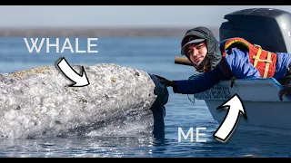 I PET A WHALE 🐋