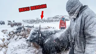 Ternaknya Beku Berdiri? 6 TEMPAT TERDINGIN & PALING BERSALJU DI DUNIA