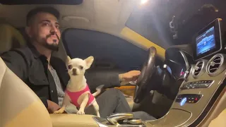 a normal day with the princess❤️