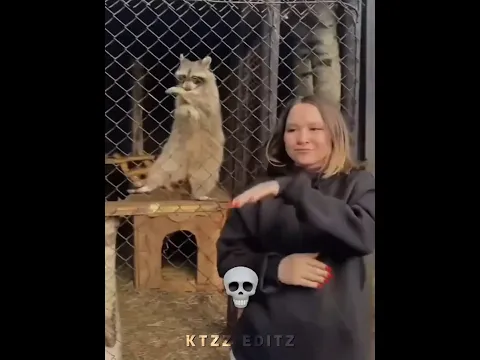 Pets imitating owners 💀