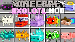 Minecraft MORE AXOLOTL MOD! (Diamond, Buff, Ender, Gold, TNT, Herobrine, Angel) @MooseCraft