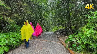 Rainy Walk in Strążyska Valley | Forest Trail in Heavy Rain