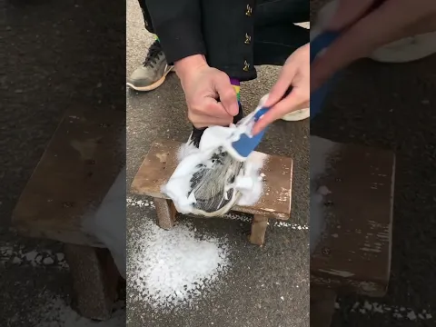 La Increíble Espuma Limpiadora De Zapatos 😮
