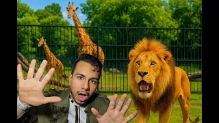 24 Horas en el Zoológico! No vas a creer todo lo que vi!