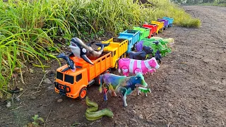 WOW‼️ANGKUT SAPI LUCU WARNA WARNI KERBAU GAJAH KUDA HIU ORCA SINGA JAGUAR DENGAN TRUK OLENG