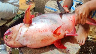 Amazing Giant Pangas Fish Cutting & Skinning Skills In Bangladesh Fish Market