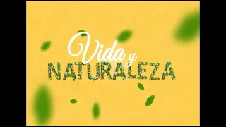 Sobre las propiedades del Garañón o Raíz del Indio, se conversa en #HolaHabana.