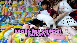 HOMESALE SQUISHY PENJUALNYA SUKA KUCING?! 🙀😽 | ada info diakhir video❗
