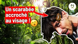 IL VA PAS LÂCHER ! 😱 @AMDE