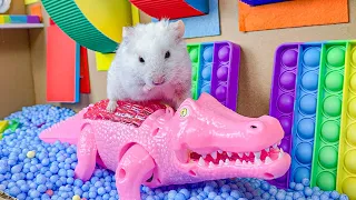 😱 Hamster Escape Maze - Hamster Cute pets Maze #hamsterescape #mazediytraps #hamsterescape [COURSE]