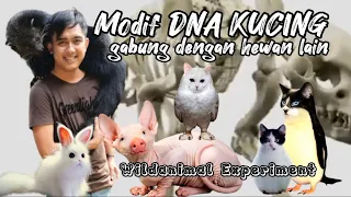 DNA kucing digabung hewan Lain jadi apa
