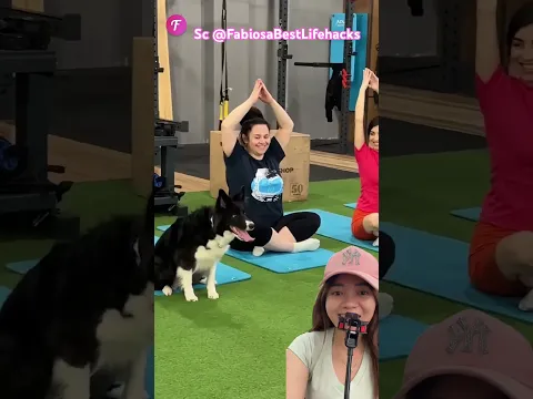 DOGY pintar ikut olahraga biar sehat ‼️ FabiosaBestLifehacks
