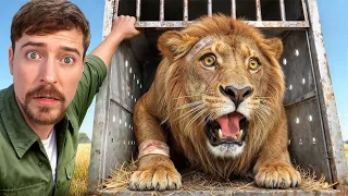 मैंने 1000 जानवरों को मरने से बचाया 🥰 || I Saved 1000 Animals From Dying 🎉 #mrbeast 
