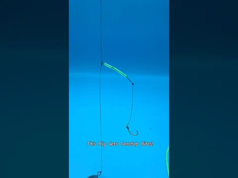This Rig Gets Nonstop Bites! #fishing #knot #diy #fishinglife #angler