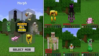 Minecraft Tapi Kita Bisa Berubah Menjadi Mob APAPUN!