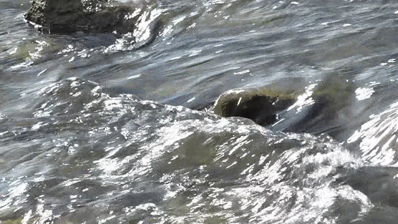 El 9 Informatiu – 18-12-25