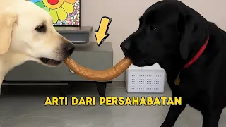 Arti Dari Persahabatan