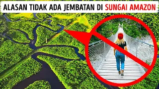 Inilah Alasan Orang-Orang Tidak Membangun Jembatan di Sungai Amazon