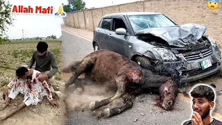 Bhot Bhra Incident Hogya Horse🐎 Gari Mian Lag Gya🙏