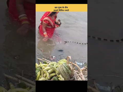 छठ पूजा के तीन सबसे विचित्र नजारे😱|#shorts #youtubeshorts #viralfactsvideos