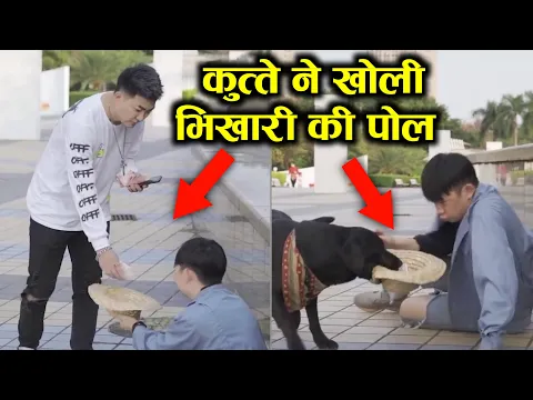 कुत्ते ने खोली भिखारी की पोल 😨 #shorts