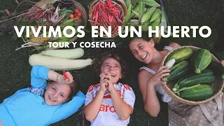 ABUNDANCIA! Nuestra Casa es un Huerto! Tour y Cosecha en nuestra Huerta Imperfecta #huertaencasa