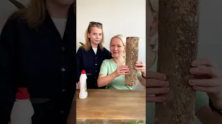 I Tried CRAZY Home Experiments and Found the BEST Tricks 🔥🤩 #ArtioMix