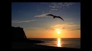 Laura Voutilainen - Niin kuin meren hiekkaa - vocal chorus