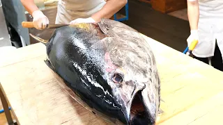 엄청납니다! 무게만 200kg인 초대형 참다랑어! 달인의 생참치 해체쇼 200kg Giant Bluefin Tuna Cutting Master / Korean street food