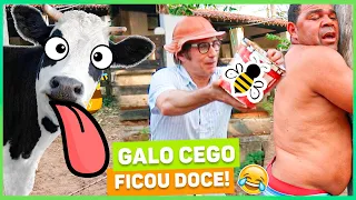GALO GANHA LAMBIDA DE ALINE, E MUÇÃO FOI LONGE DEMAIS | TURMA DO MUÇÃO