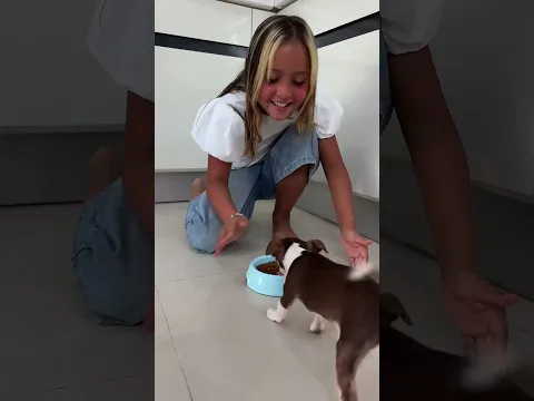 WHO REALLY LOVES A PUPPY?