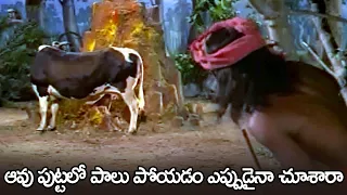 ఆవు పుట్టలో పాలు పోయడం ఎప్పుడైనా చూశారా - Parasakthi Mahimalu Superhit Movie Scenes Part 6