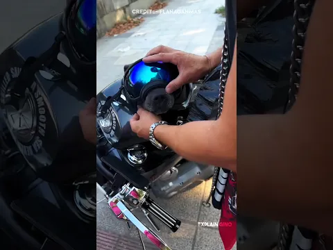 This Dog Loves Bike Rides 🐕❤️ #shorts