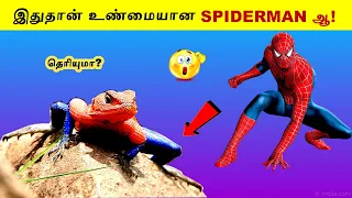 மிகவும் சுவாரஸ்யமான சில நிகழ்வுகள் | facts in tamil | #trending #viral | Trendy Sky tamil |