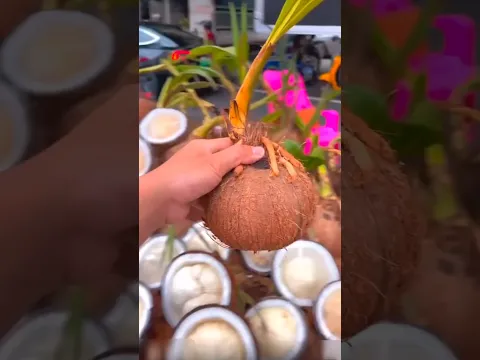 নারিকেলে গাছ চলে আসলে কেন খাওয়া ঠিক না