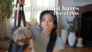 new pet owners guide: everything you need + tips on traveling with your pup 🐕‍🦺🐾🦴