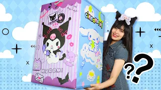 ABRO UNA CAJA MISTERIOSA Cinnamoroll VS Kuromi ｜ TEMU