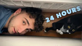 I Lived 24 Hours Like my Cat…