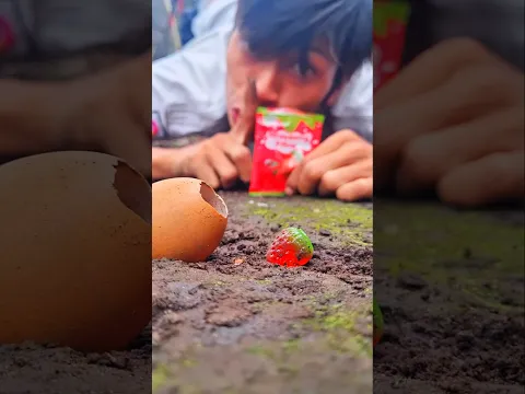 No sound, so that the millipede comes out of its egg #shortvideo #millipede