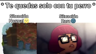 Te quedas solo con tu perro 🌚#memes #viral