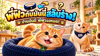 ตื่นมาพี่ฟิวกับมันนี่สลับร่างกัน…ต้องเนียนให้รอดจนกว่าจะได้กลับร่าง | แมวซีรีย์