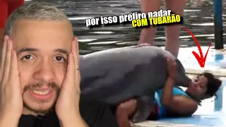 o LADO OBSCURO dos GOLFINHOS que ASSUSTA qualquer um | wildboppre