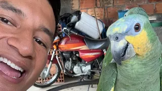 Viaja conmigo el cholopo está en vivo