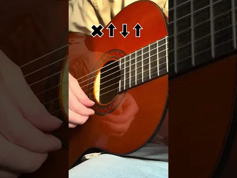 Flamenco Spanish guitar for beginner