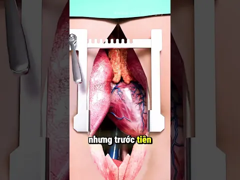 Bên Trong Bụi Bẩn Dưới Móng Tay Có Gì? 🔬😱