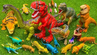 Membersihkan Dinosaurus T-rex brontosaurus,stegosaurus Jurassic world evolution 2 Animal battle
